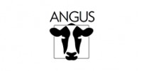 Angus